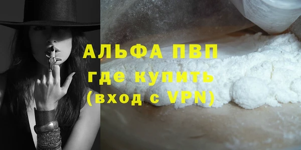 стаф Верея