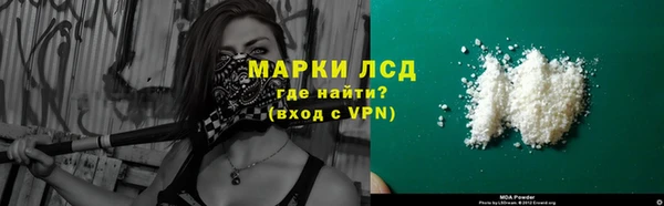 прущие грибы Белоозёрский