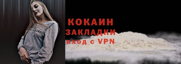 молекула духа Пестово