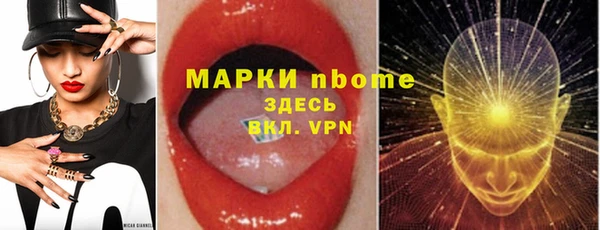 стаф Верея