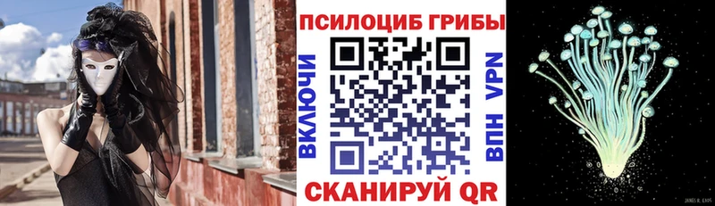 блэк спрут как войти  Вихоревка  Псилоцибиновые грибы Psilocybe  купить наркоту 